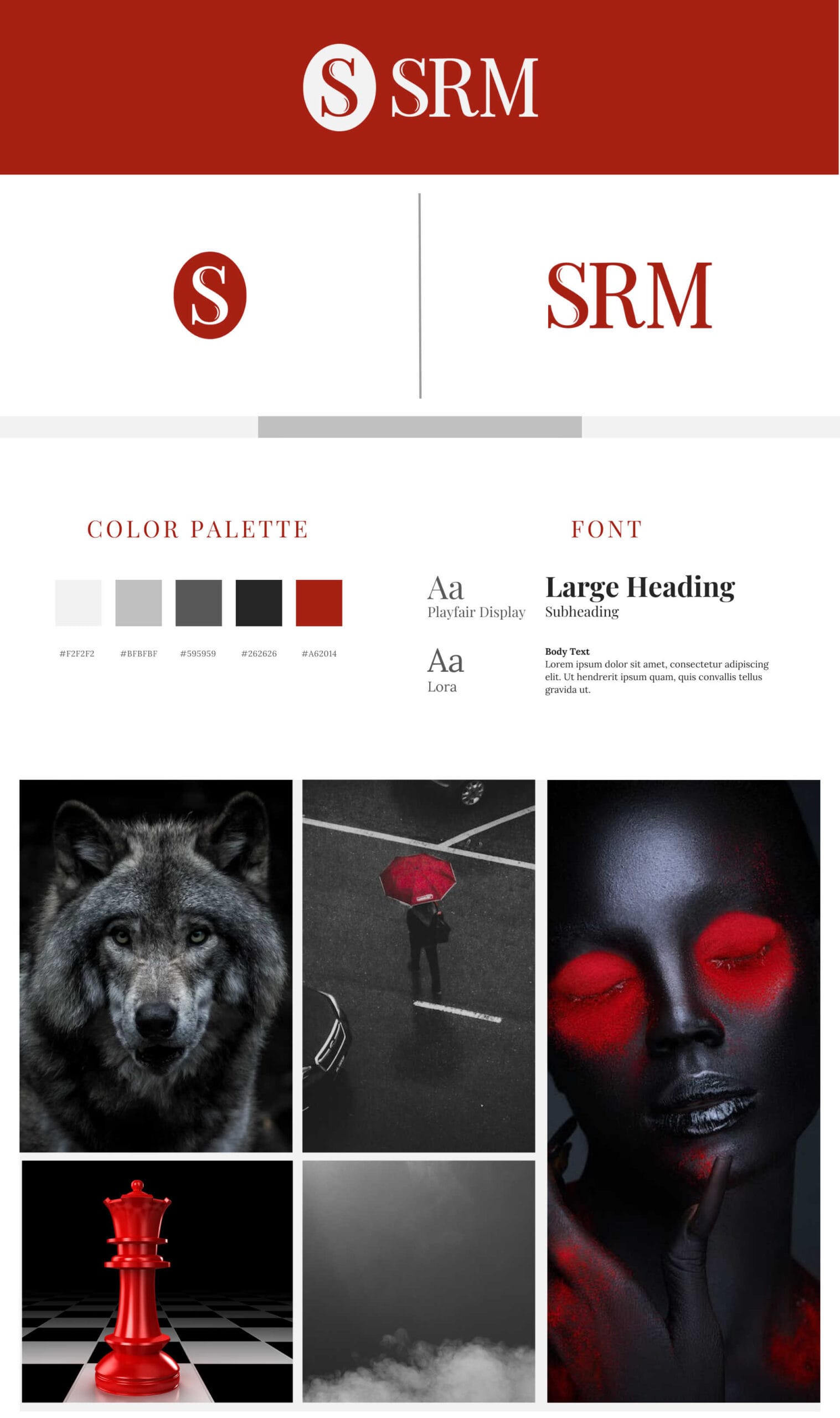 SRM Brand Kit